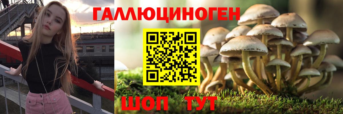 Псилоцибиновые грибы GOLDEN TEACHER Северодвинск